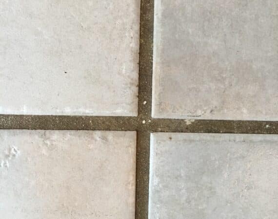Dirty Grout Before Cleaning